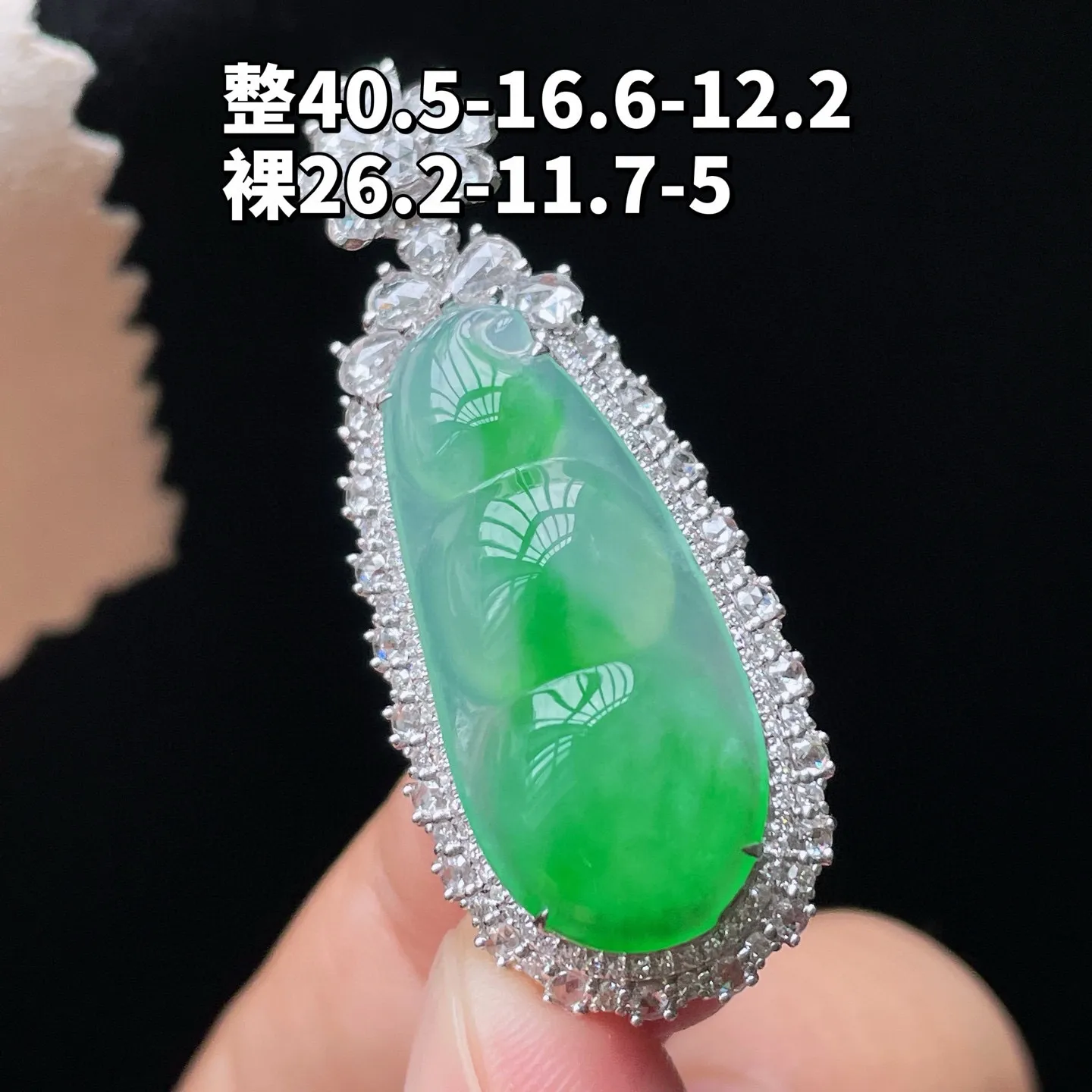 18K 冰种飘绿·福豆
 
整40.5-16.6-12.2
裸26.2-11.7-5