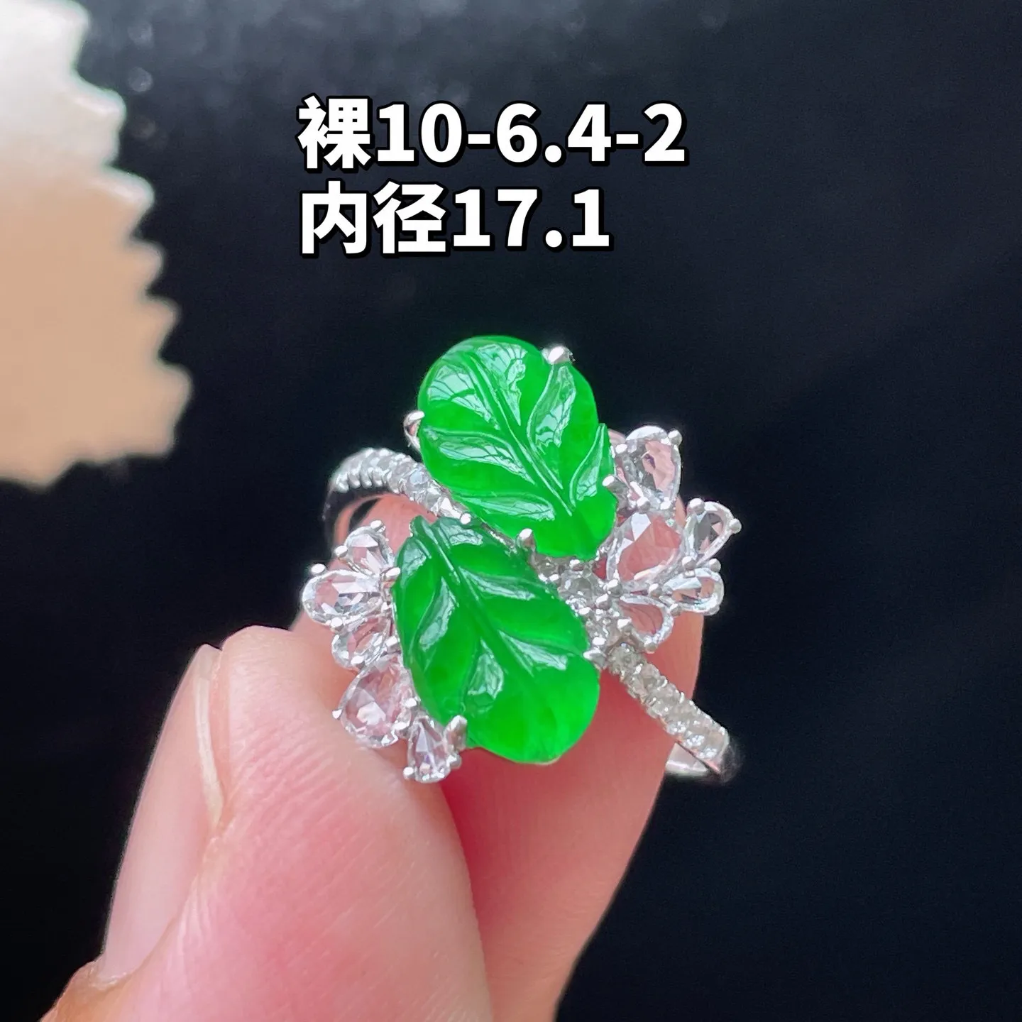 18K 满色·叶子戒指
 
裸10-6.4-2
内径17.1