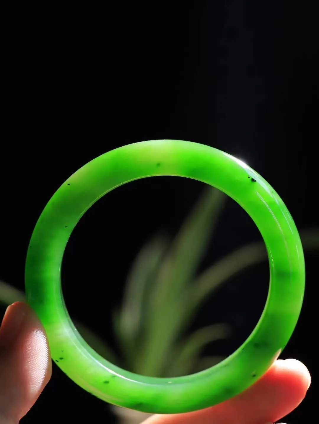 （碧色荡漾.手镯）

精品️和田玉碧玉手镯，灼灼其华想像靓妆淡伫 ，腕间绿意跳脱冰壶莹，坐间静对，姑射仙姿潇洒处，艳冶最奇料子油润滋腻镯型饱满，手感上佳。重55克   内径55mm尺寸11.7-8.9mm   10702613T
