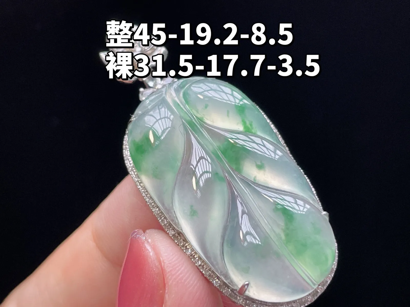 18K 冰种飘绿·叶子
 
整45-19.2-8.5
裸31.5-17.7-3.5