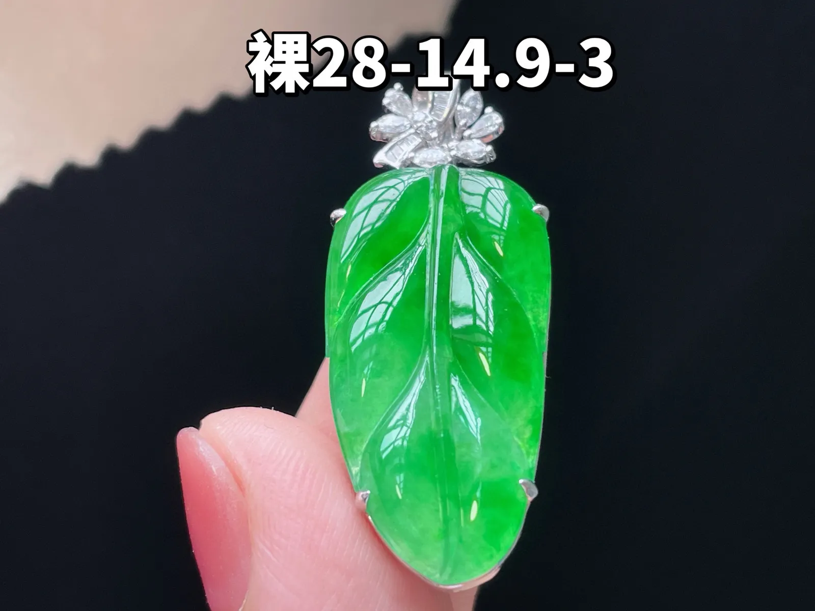 18K 满色·叶子
 
裸28-14.9-3