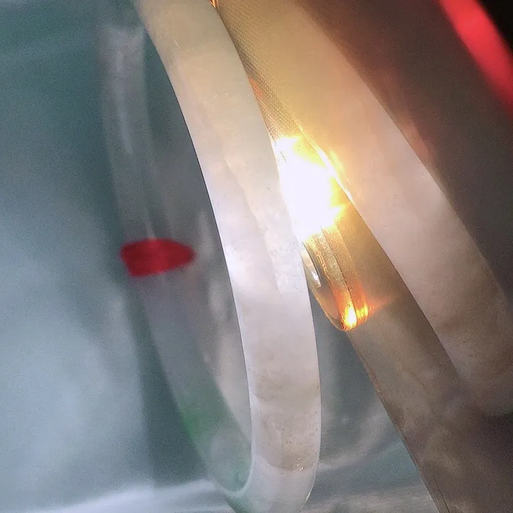 自然光53.5/6.5/7.3老坑冰胶水灵飘绿细条圆条手镯翡翠玉镯百搭