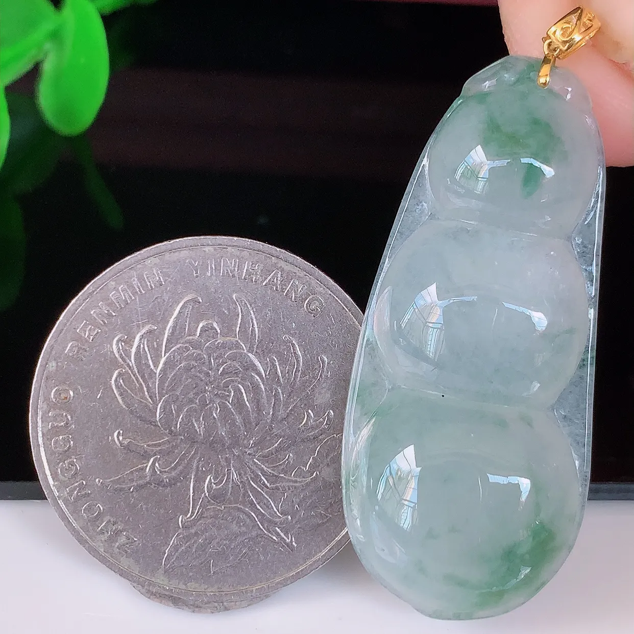 18K金镶嵌冰种飘花翡翠四季豆吊坠，平安豆福豆玉坠，冰润通透，豆粒饱满，寓意：豆蔻年华！#49.9