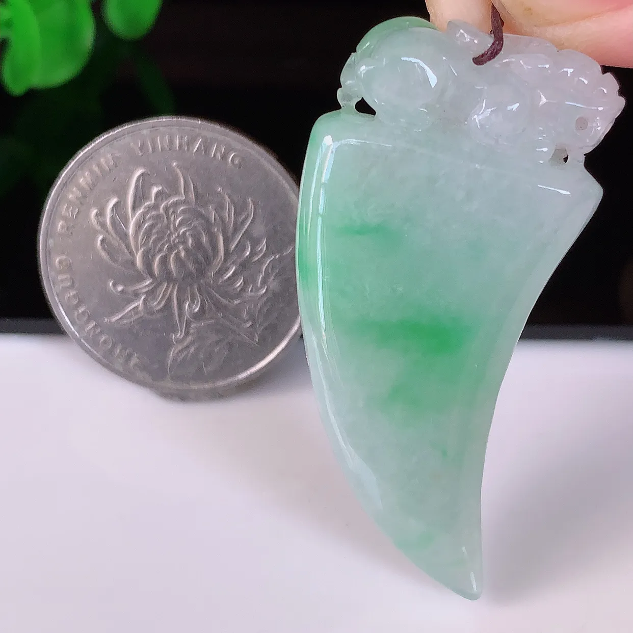自然光实拍，冰润飘绿翡翠招财龙牙吊坠，种老水足，雕工精湛 ，寓意美好，佩戴时尚出众！#81.9