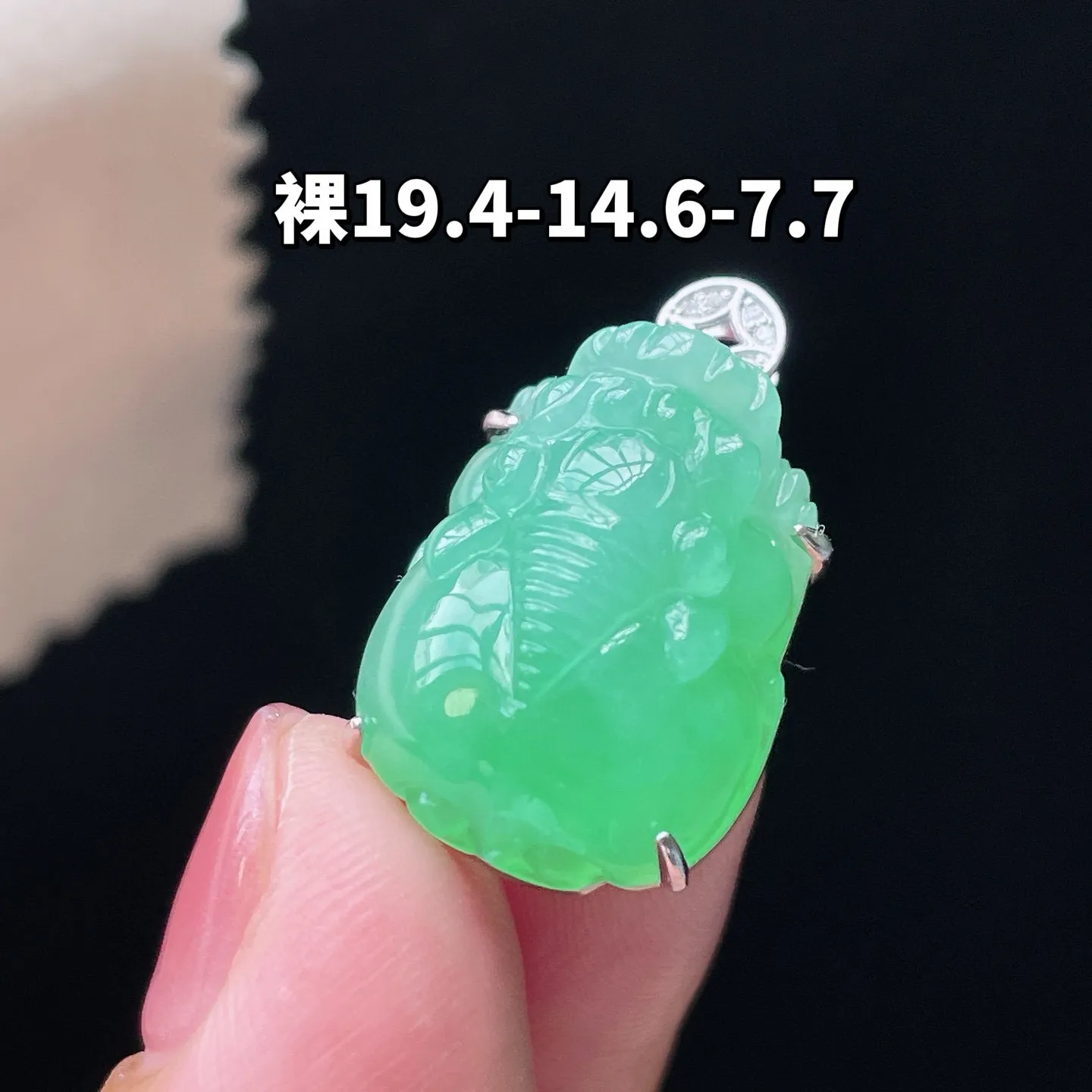 18K 满色·貔貅
 
裸19.4-14.6-7.7