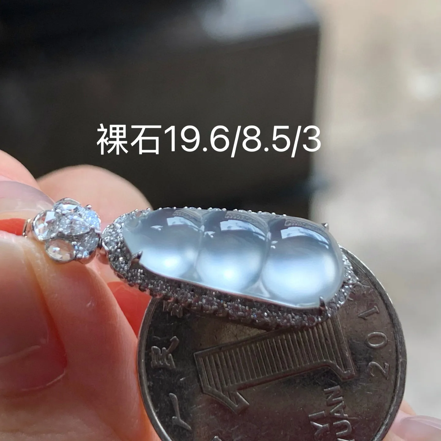 玻璃种福豆
种老起光 真金镶嵌