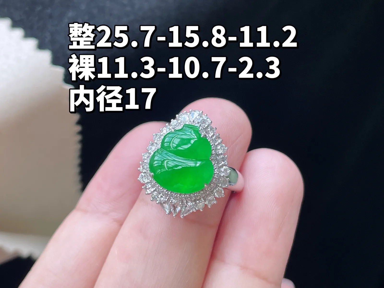 18K 满色·葫芦吊坠/戒指两用款

整25.7-15.8-11.2
裸11.3-10.7-2.3
内径17