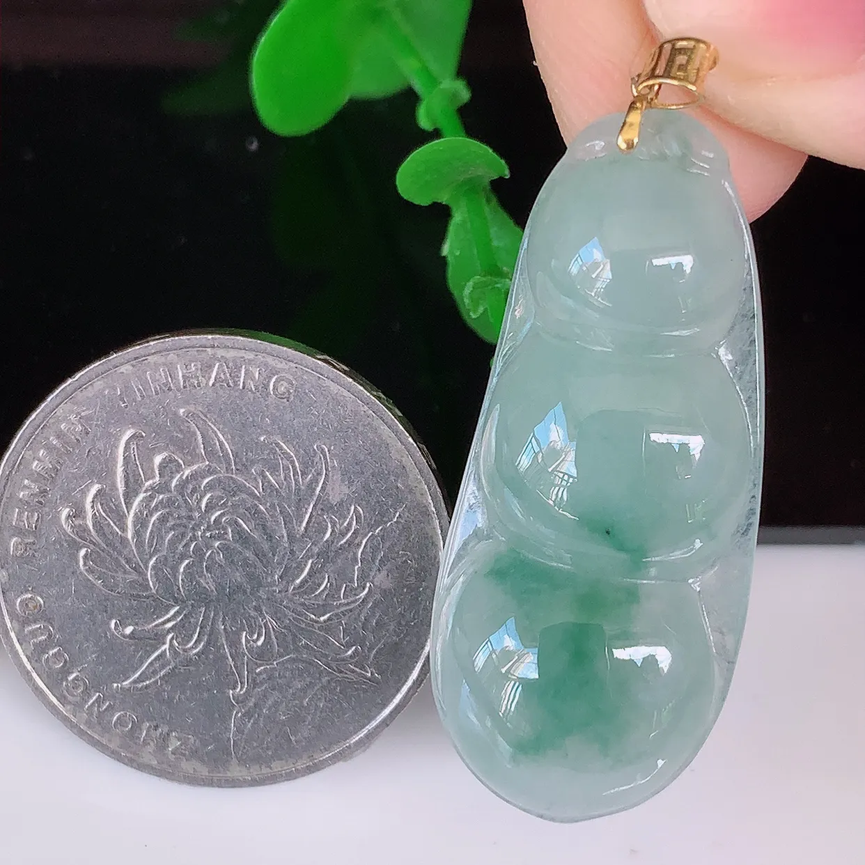 18K金镶嵌冰种飘花翡翠四季豆吊坠，平安豆福豆玉坠，冰润通透，豆粒饱满，寓意：豆蔻年华！#49.16