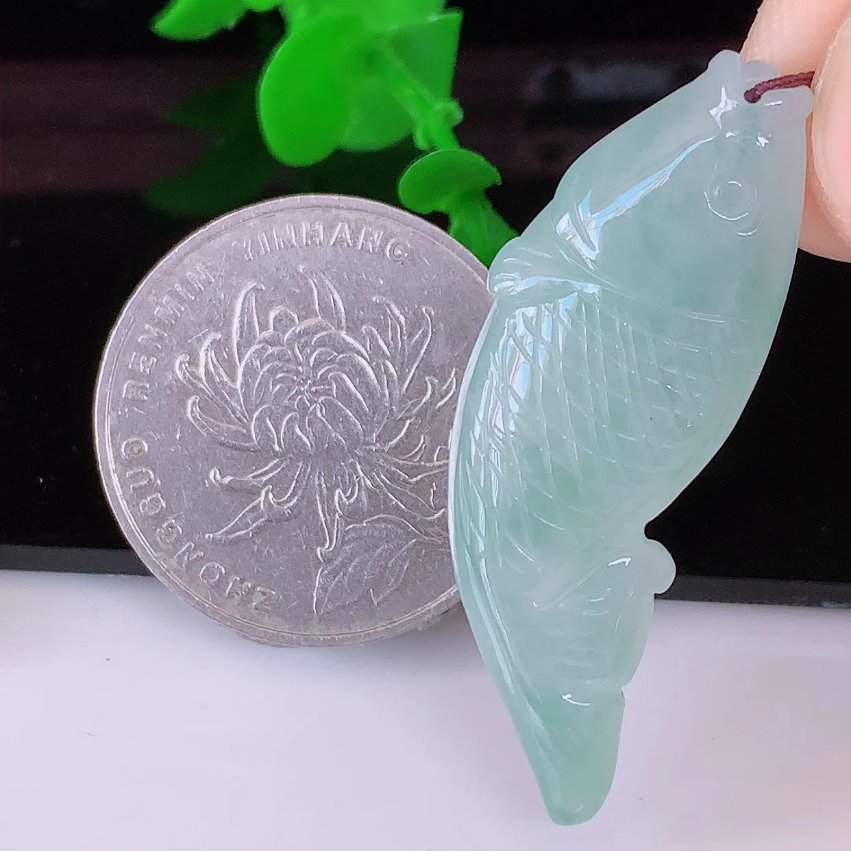 自然光实拍，冰种翡翠年年有余，自由自在玉吊坠，寓意财源广进，雕工婉约，栩栩如生，佩戴优雅迷人！#05.16