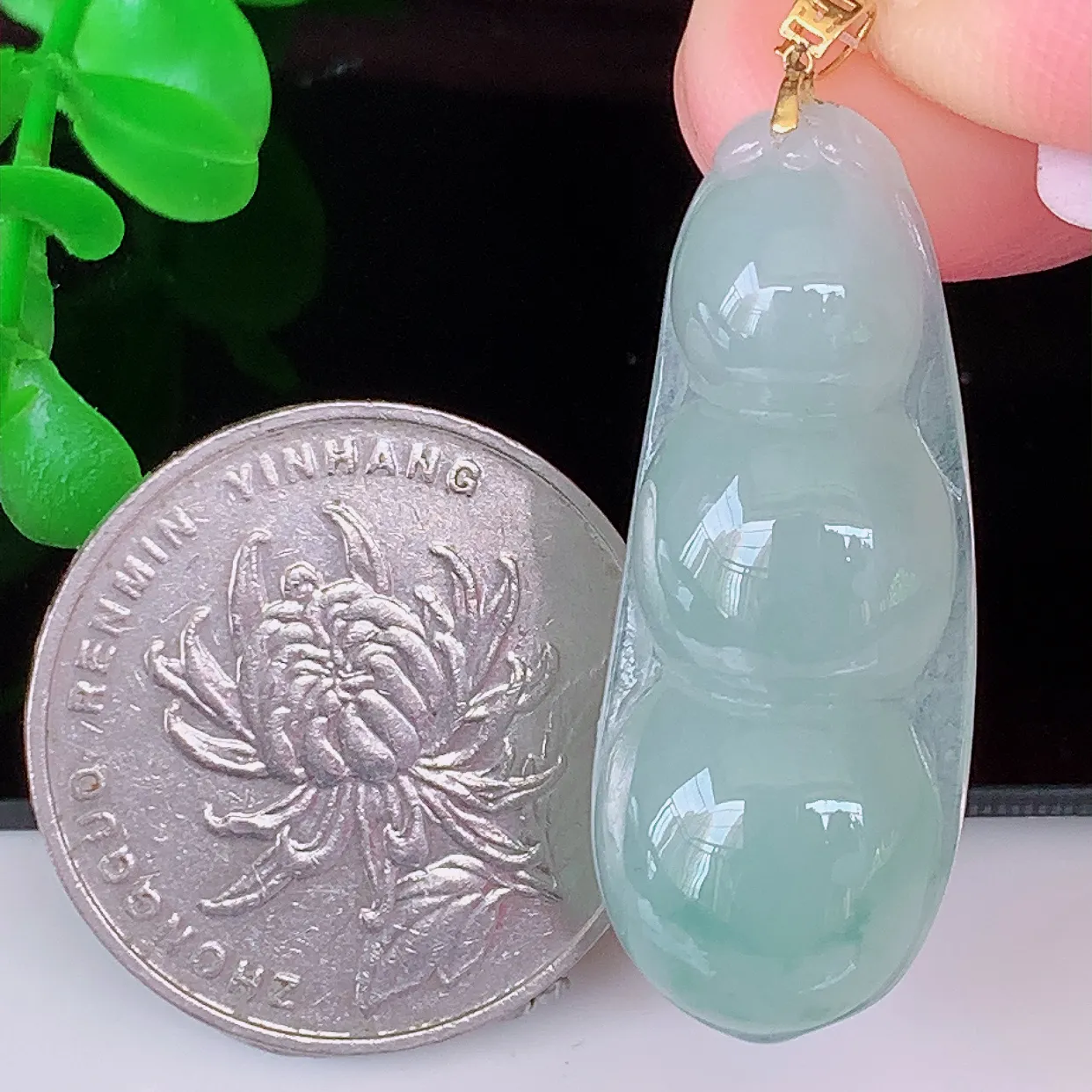 18K金镶嵌冰种飘花翡翠四季豆吊坠，平安豆福豆玉坠，冰润通透，豆粒饱满，寓意：豆蔻年华！#49.19