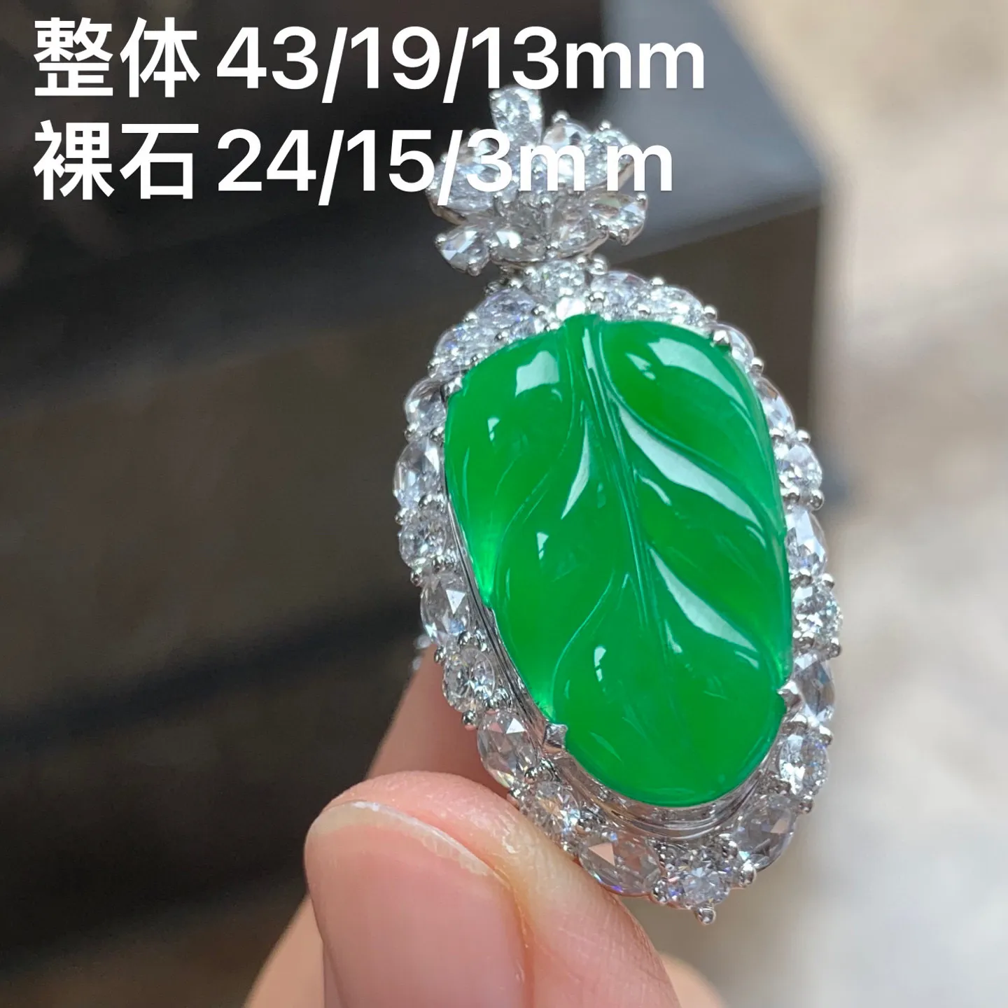 冰阳绿叶子 色阳水润 形态饱满 18K金镶嵌