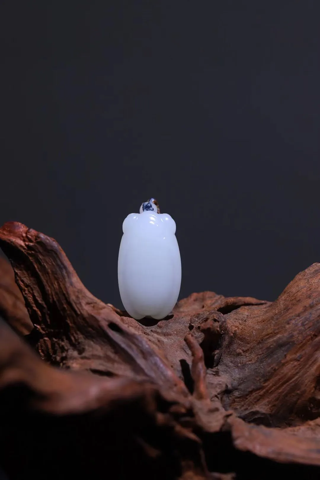 收藏精品
【蝉】凝润若脂，温润而泽，结构细糯，白皙若雪，此等高品质玉料，极为稀有难得。设计精美雅致，充满朝气，不鸣则已，一鸣惊人。
【规格】37-22-11mm,16.6g