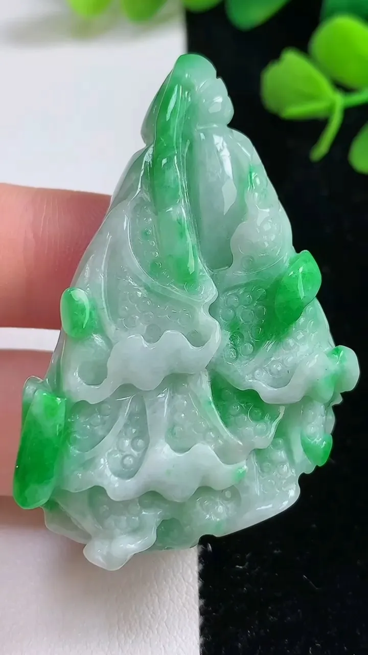 天然A货翡翠白菜吊坠，尺寸50.8-33.5-12.5，重:21.45g
9月3日