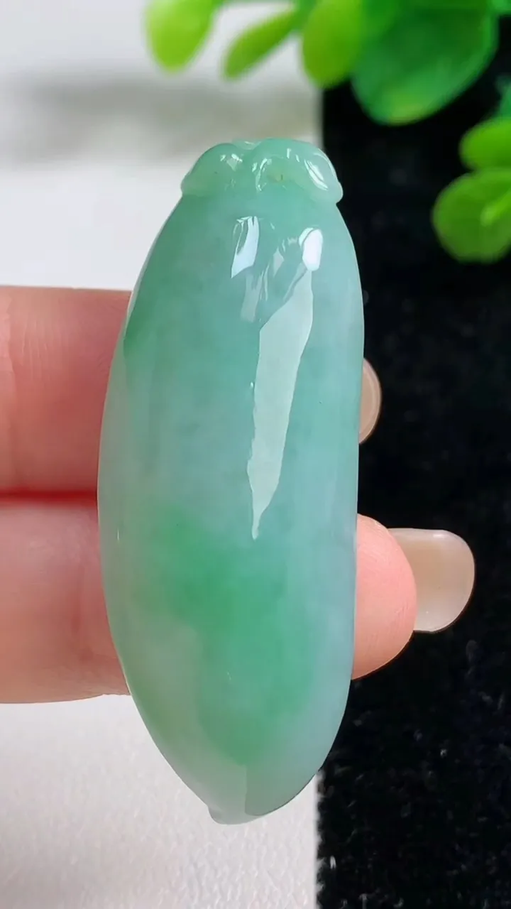 天然A货翡翠福瓜吊坠，尺寸47.8-18-11.6，重量:17.21g
9月4日