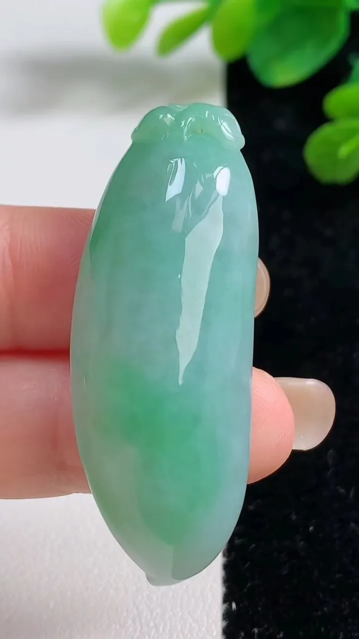 天然A货翡翠福瓜吊坠，尺寸47.8-18-11.6，重量:17.21g
9月4日