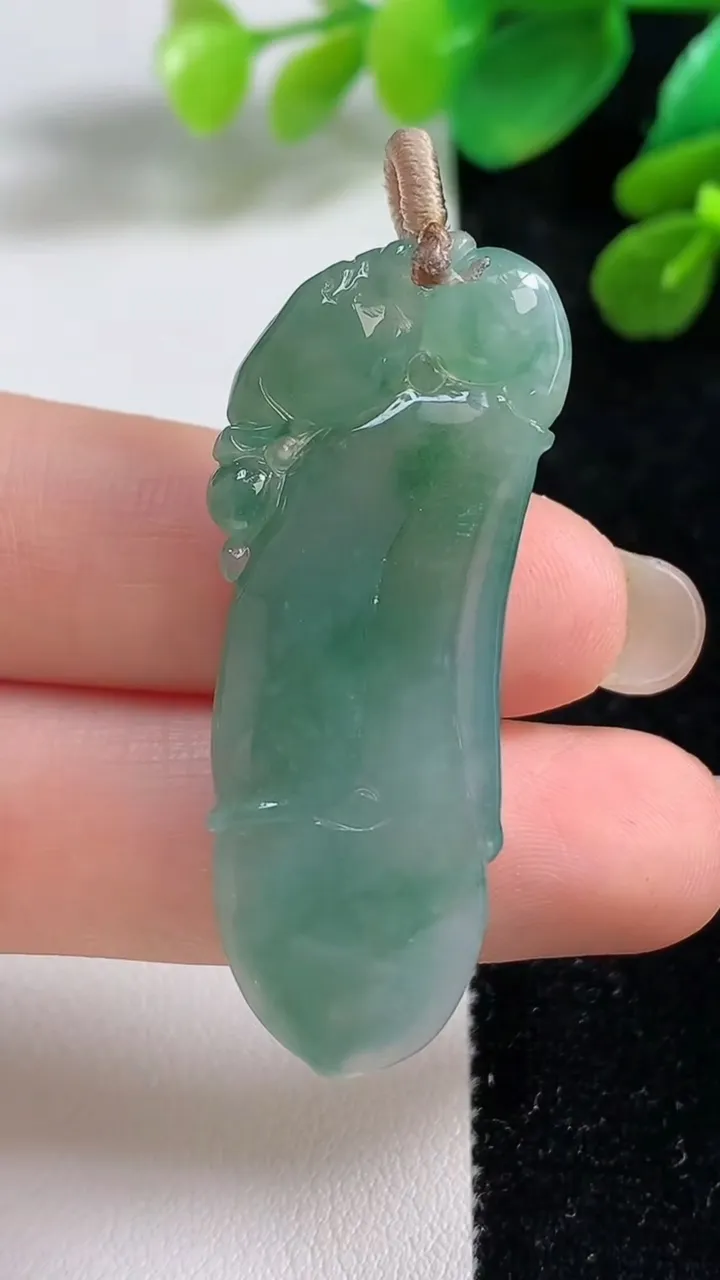 天然A货翡翠玉兰花吊坠，尺寸44.7-15-6，重量:9.11g
9月7日
