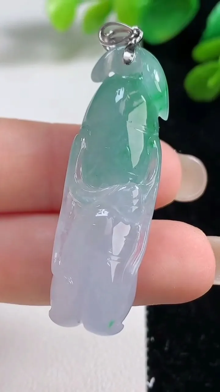 天然A货翡翠白菜吊坠，尺寸44.6-14-9，重量:12.55g
9月7日