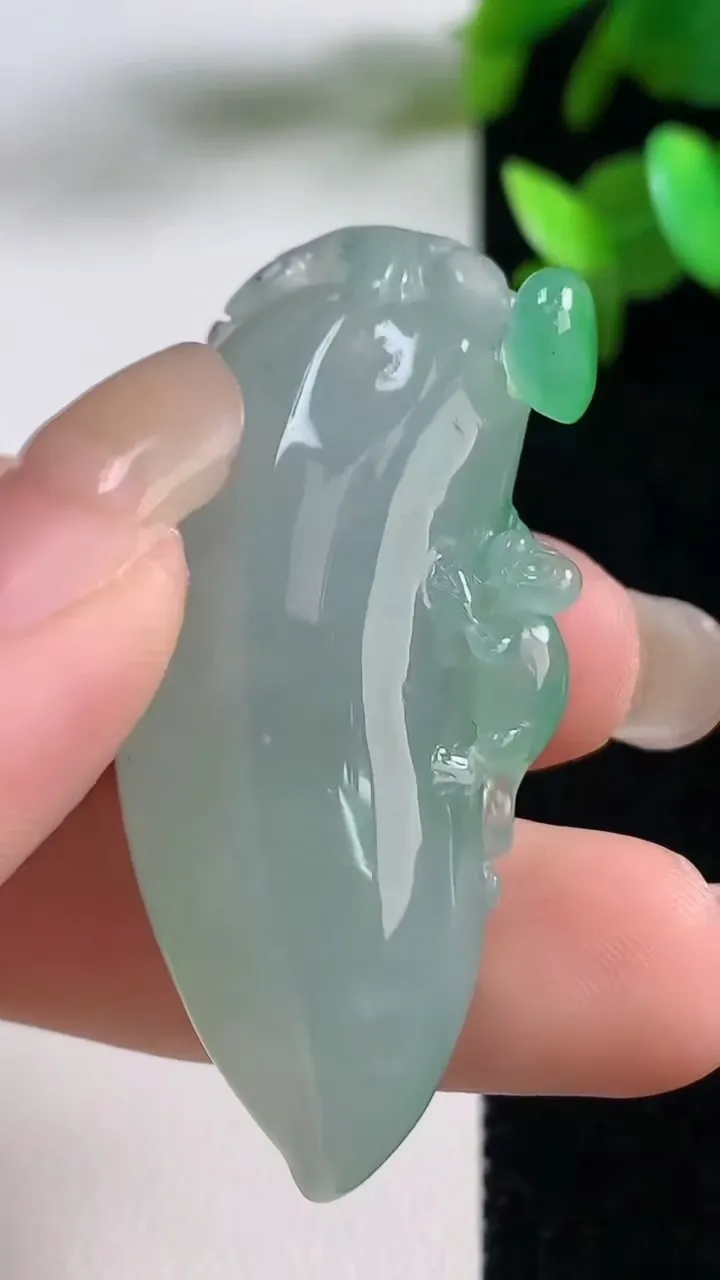 天然A货翡翠福瓜吊坠，尺寸48.6-24-13，重量:22.02g
9月11日