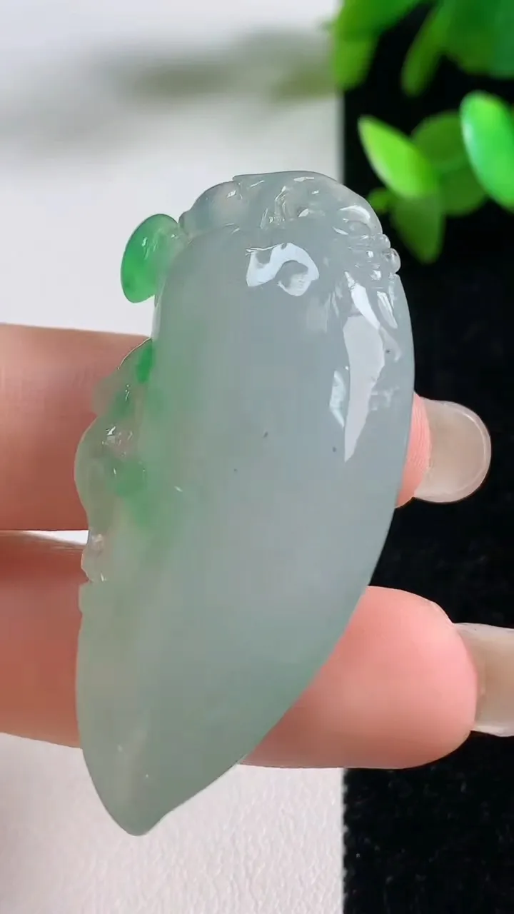 天然A货翡翠福瓜吊坠，尺寸48.6-24-13，重量:22.02g
9月11日