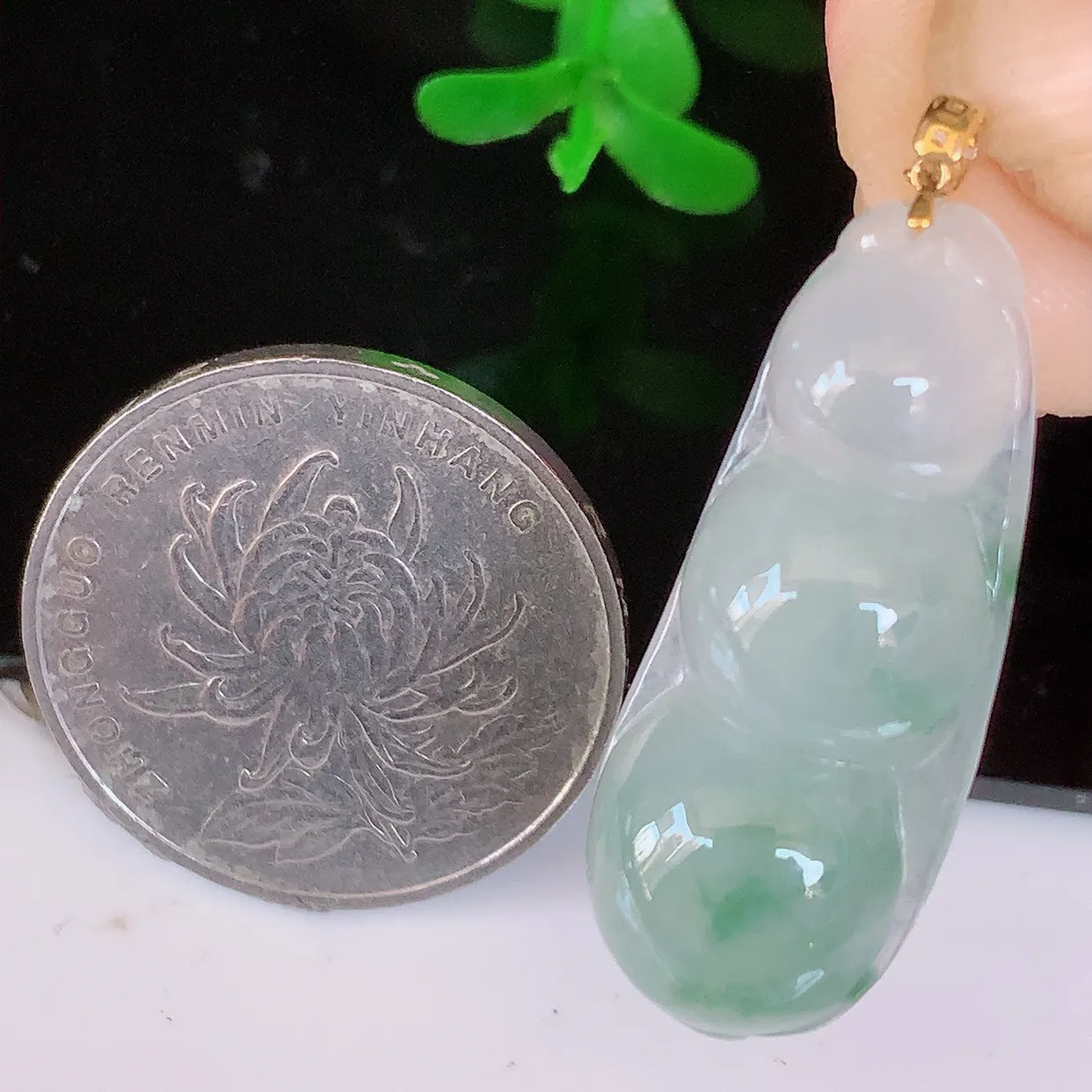 18K金镶嵌冰润飘花翡翠四季豆吊坠，平安豆福豆玉坠，冰润通透，豆粒饱满，寓意：豆蔻年华！#49.31