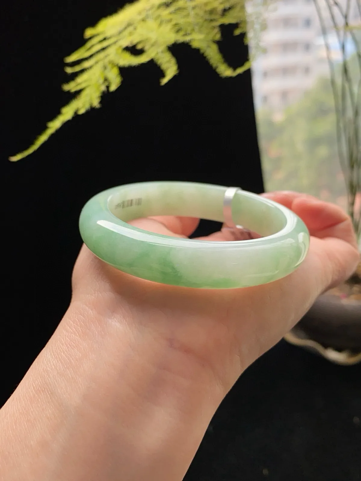 【芙蓉飘绿】
 尺寸：55.3*12.7*8.4
窗边自然光实拍 无美颜无滤镜