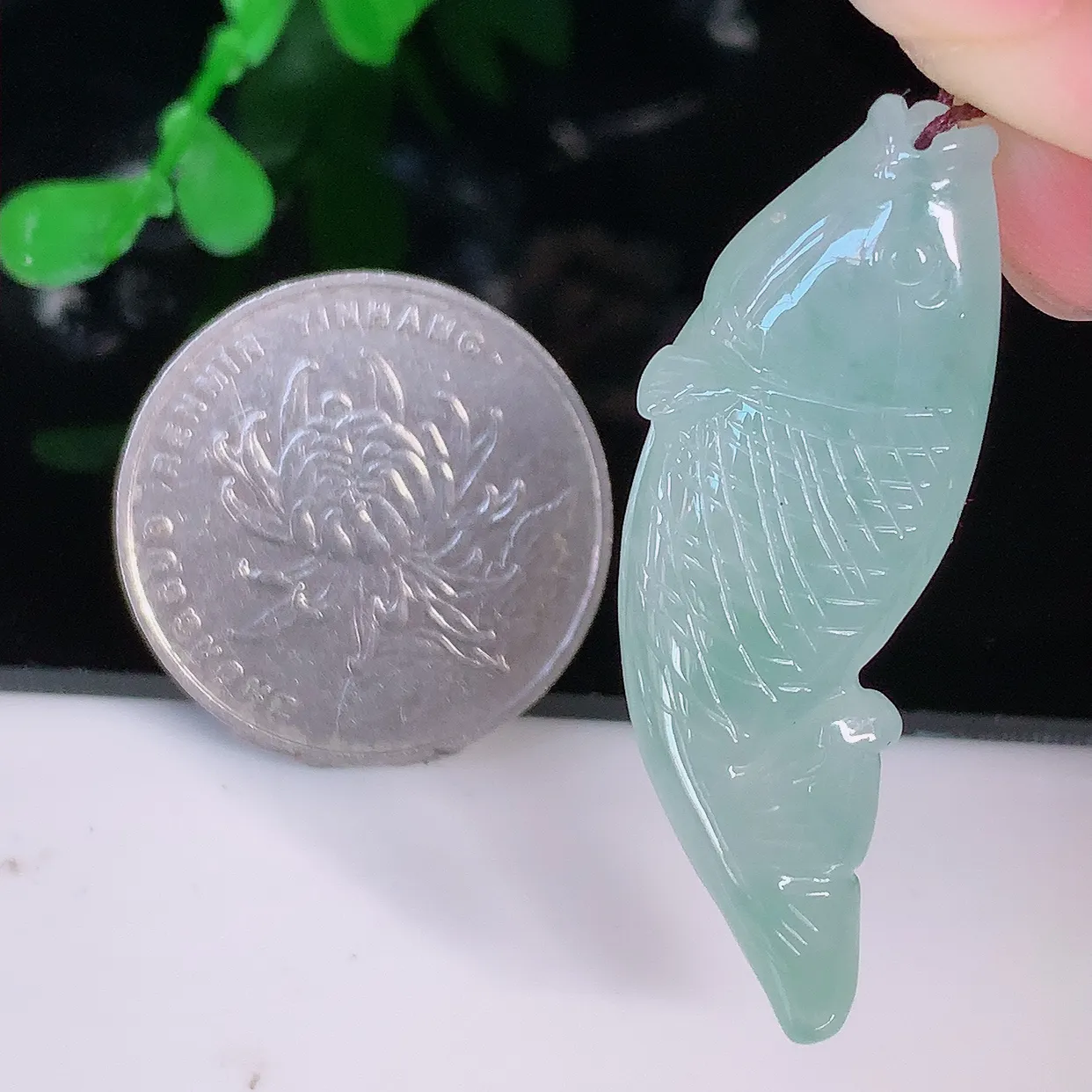 自然光实拍，冰胶翡翠年年有余，自由自在玉吊坠，寓意财源广进，雕工婉约，栩栩如生，佩戴优雅迷人！#05.21