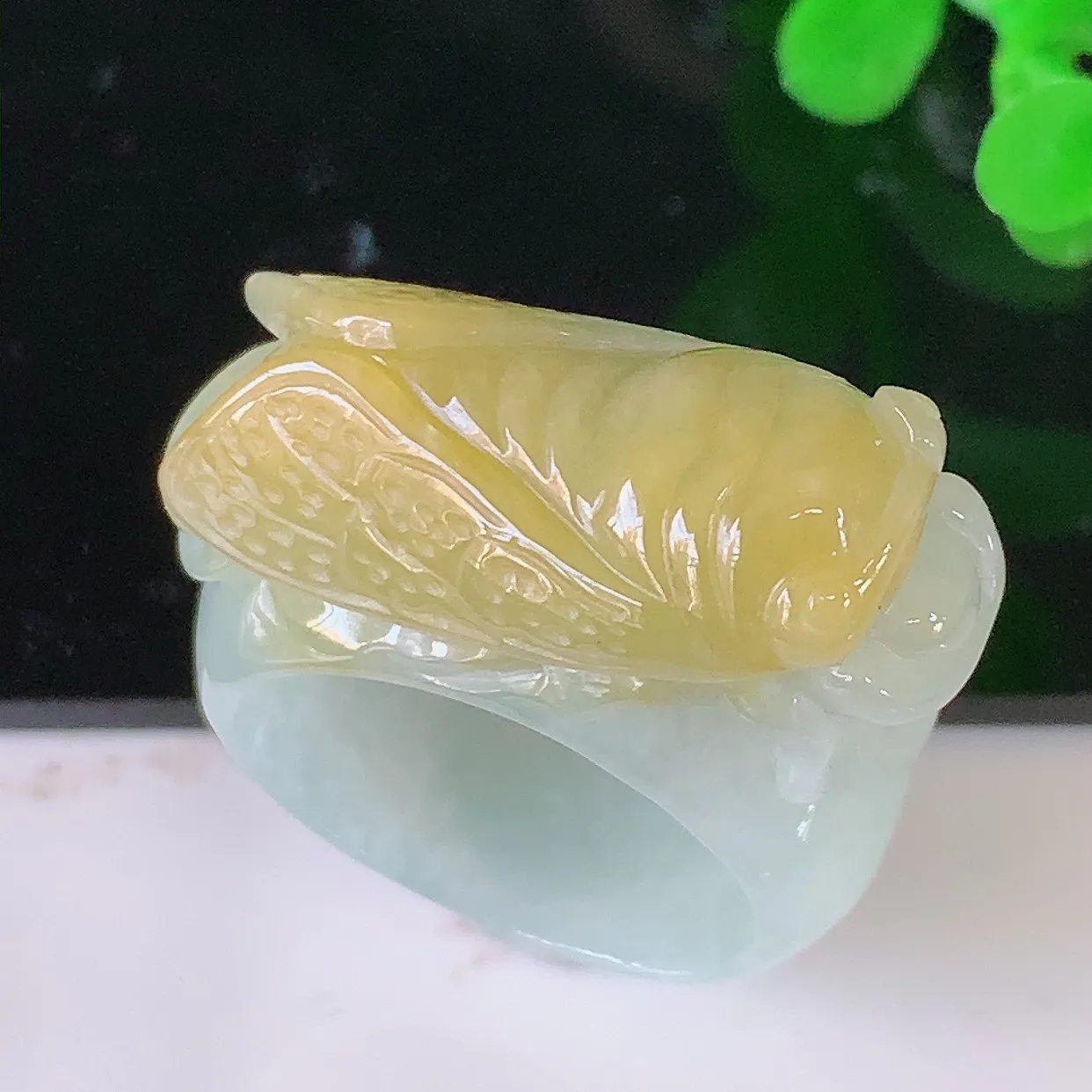 自然光实拍，黄翡金蟾扳指，19mm内径翡翠扳指，冰润指环，玉扳指，财源滚滚，玉质细腻起胶，20圈口，