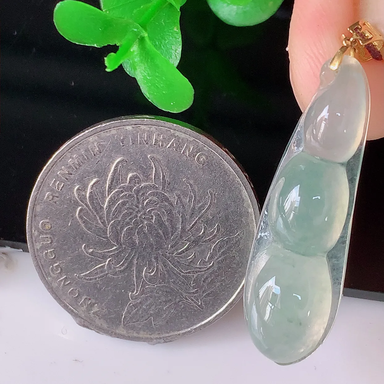 18K金镶嵌冰种翡翠四季豆吊坠，平安豆福豆玉坠，冰润通透，豆粒饱满，寓意：豆蔻年华！#41.9