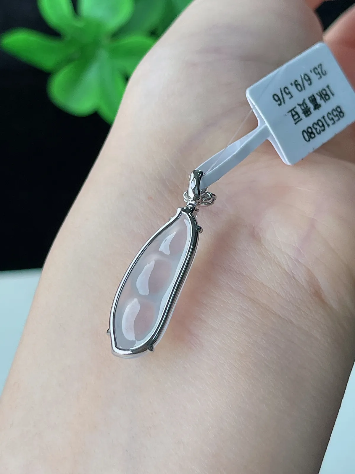 18k金翡翠玻璃种白色四季豆