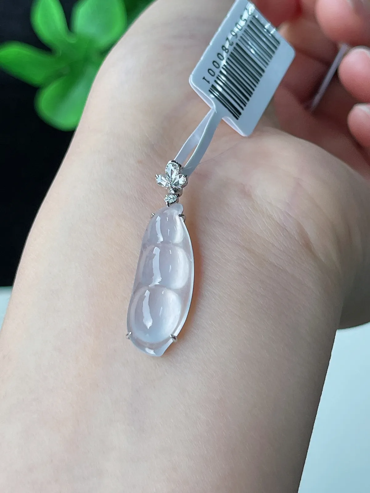 18k金翡翠玻璃种白色四季豆