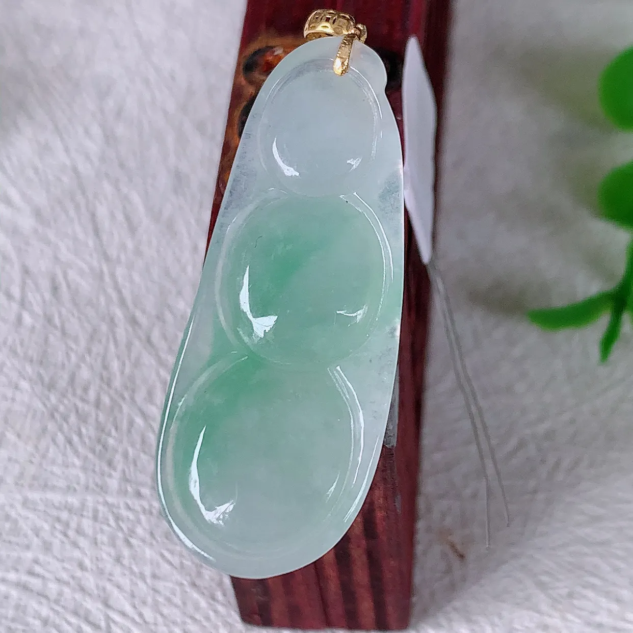 18K金镶嵌冰种飘绿翡翠四季豆吊坠，平安豆福豆玉坠，冰润通透，豆粒饱满，寓意：豆蔻年华！#49.23