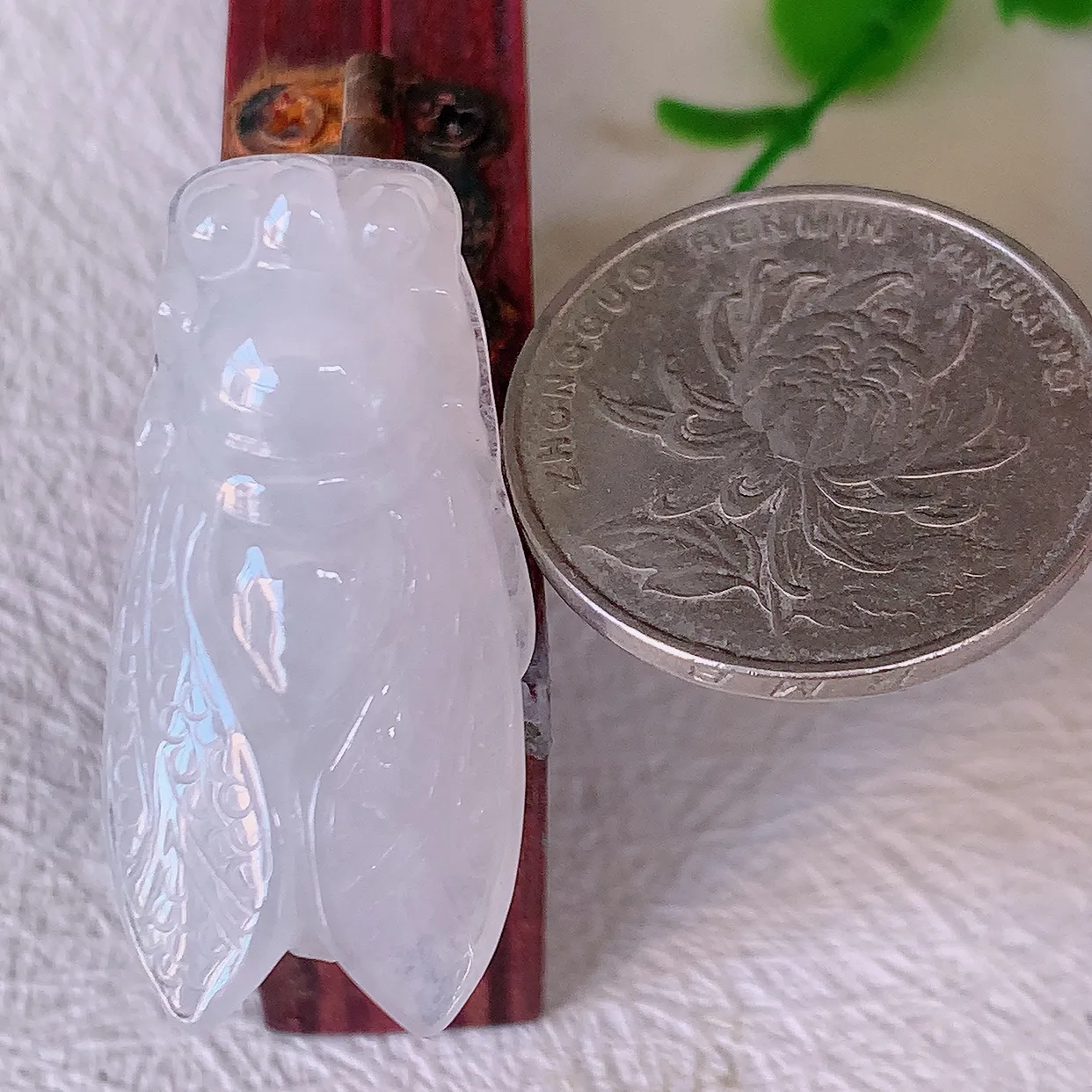 自然光实拍，冰胶翡翠招财金蝉吊坠，种老水足，雕工精湛 ，寓意美好，佩戴时尚出众！#57.25