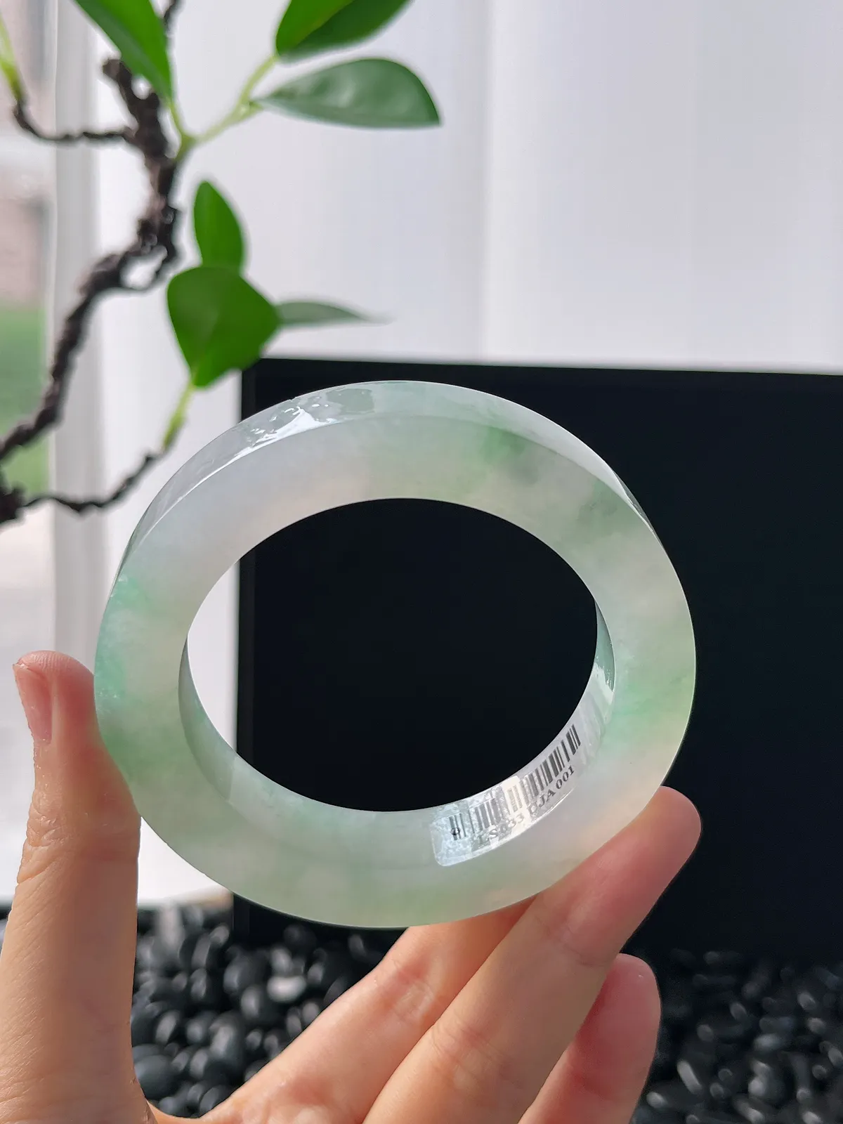 翡翠毛胚，⭕️正圈最大做58，圆条最大做54，最小做53.8