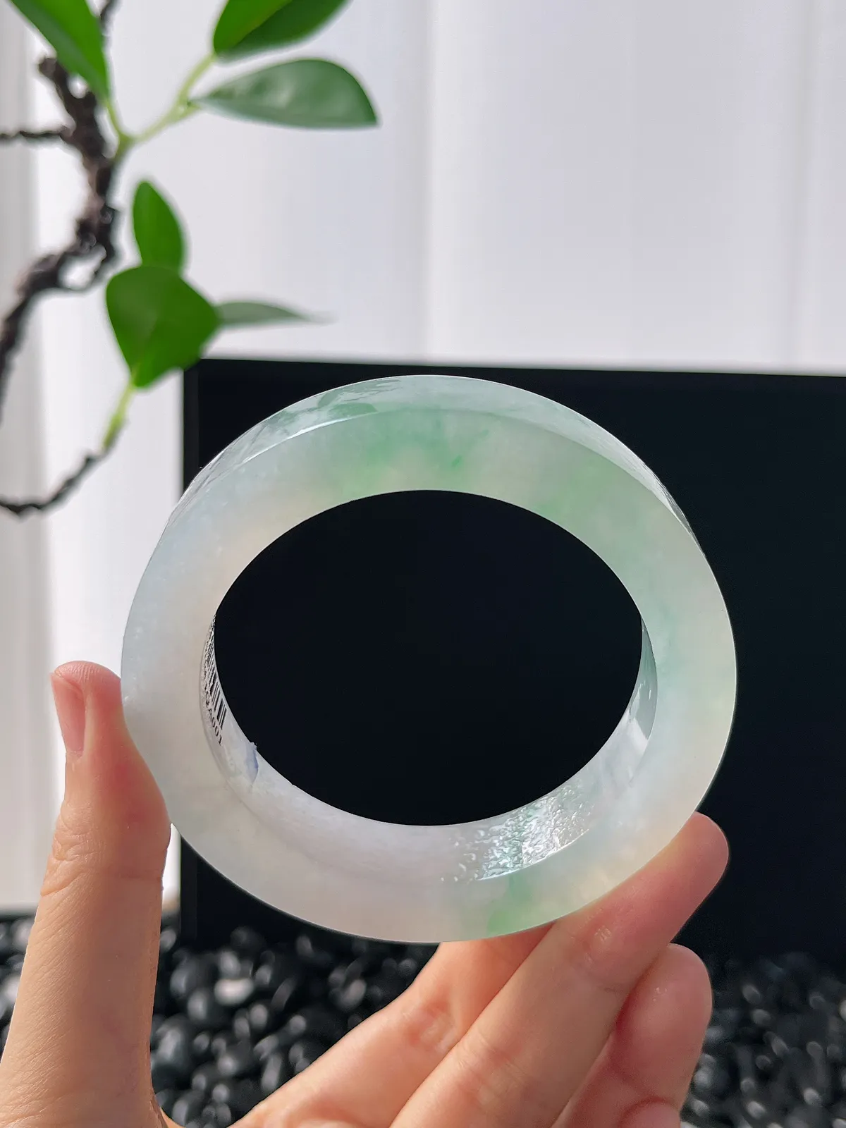 翡翠毛胚，⭕️正圈最大做58，圆条最大做54，最小做55.5