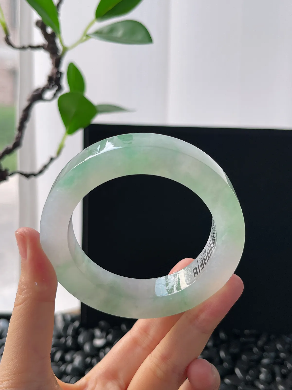 翡翠毛胚，⭕️正圈最大做58，圆条最大做54，最小做53.8