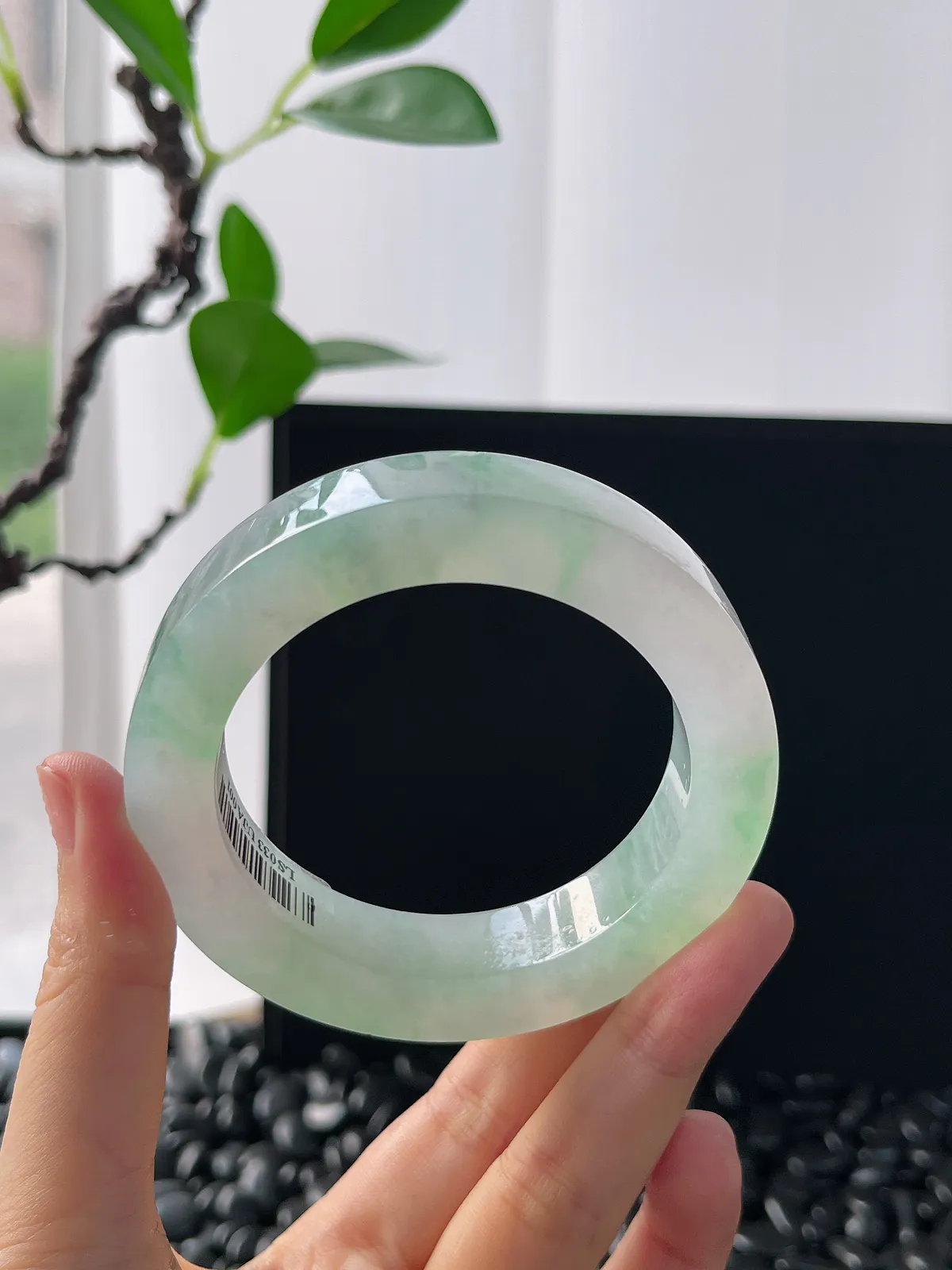 翡翠毛胚，⭕️正圈最大做58，圆条最大做54，最小做53.8