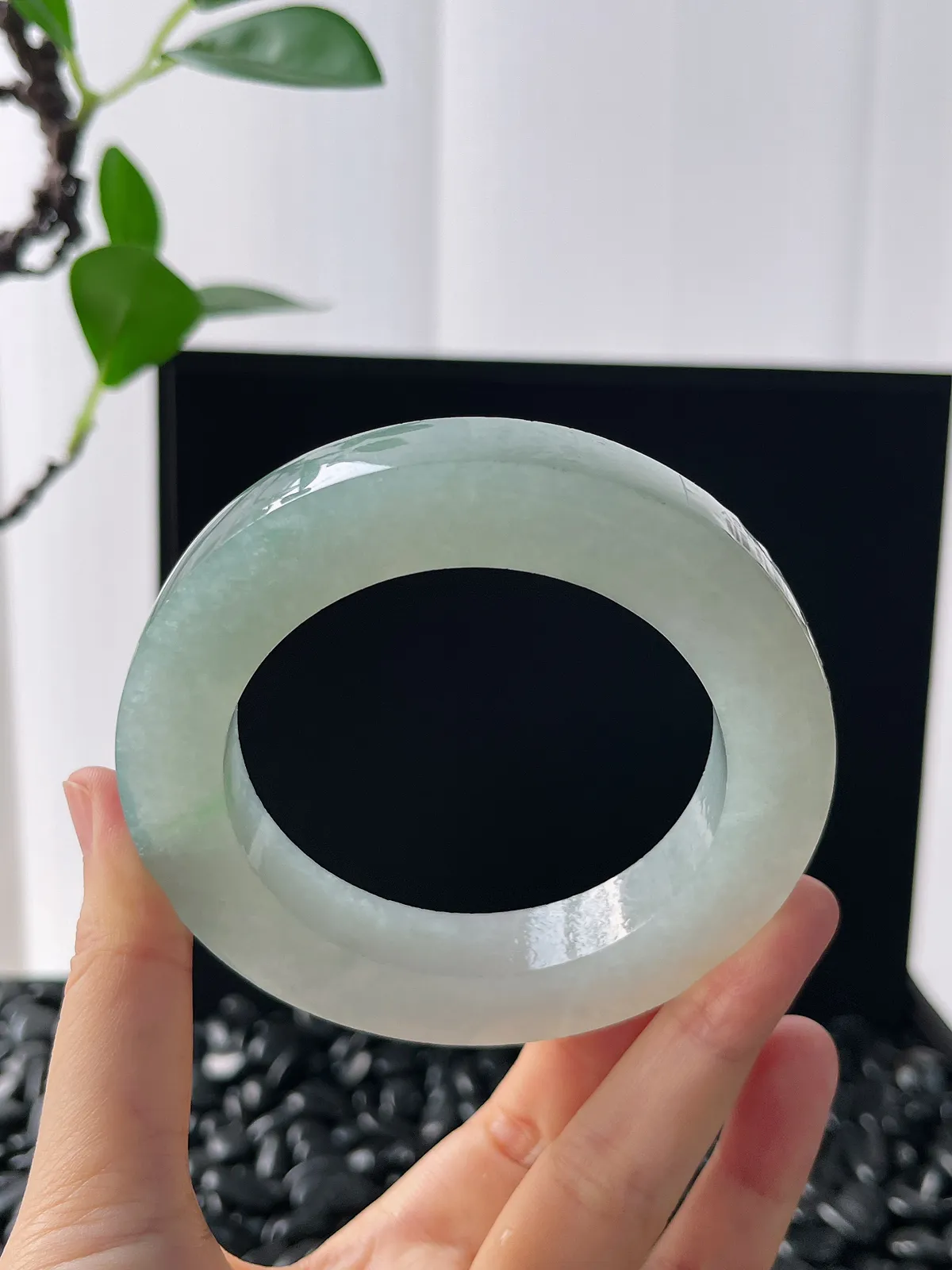 翡翠毛胚，⭕️正圈最大做67，圆条最大做63，最小做58.7