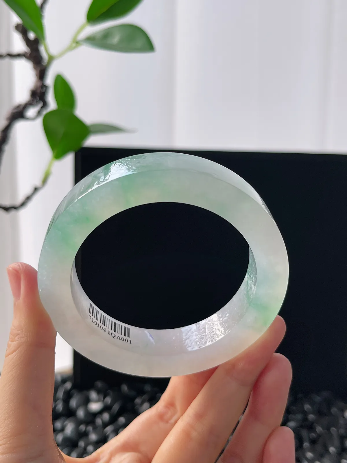 翡翠毛胚，⭕️正圈最大做58，圆条最大做54，最小做55.5