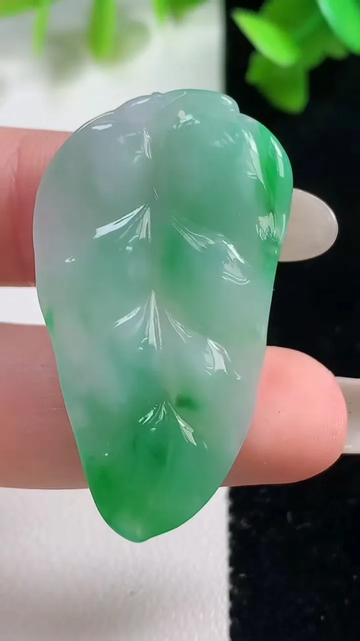 天然A货翡翠金枝玉叶 叶子吊坠，尺寸39.4-23.3-4.9，重量:7.72g
10月28日