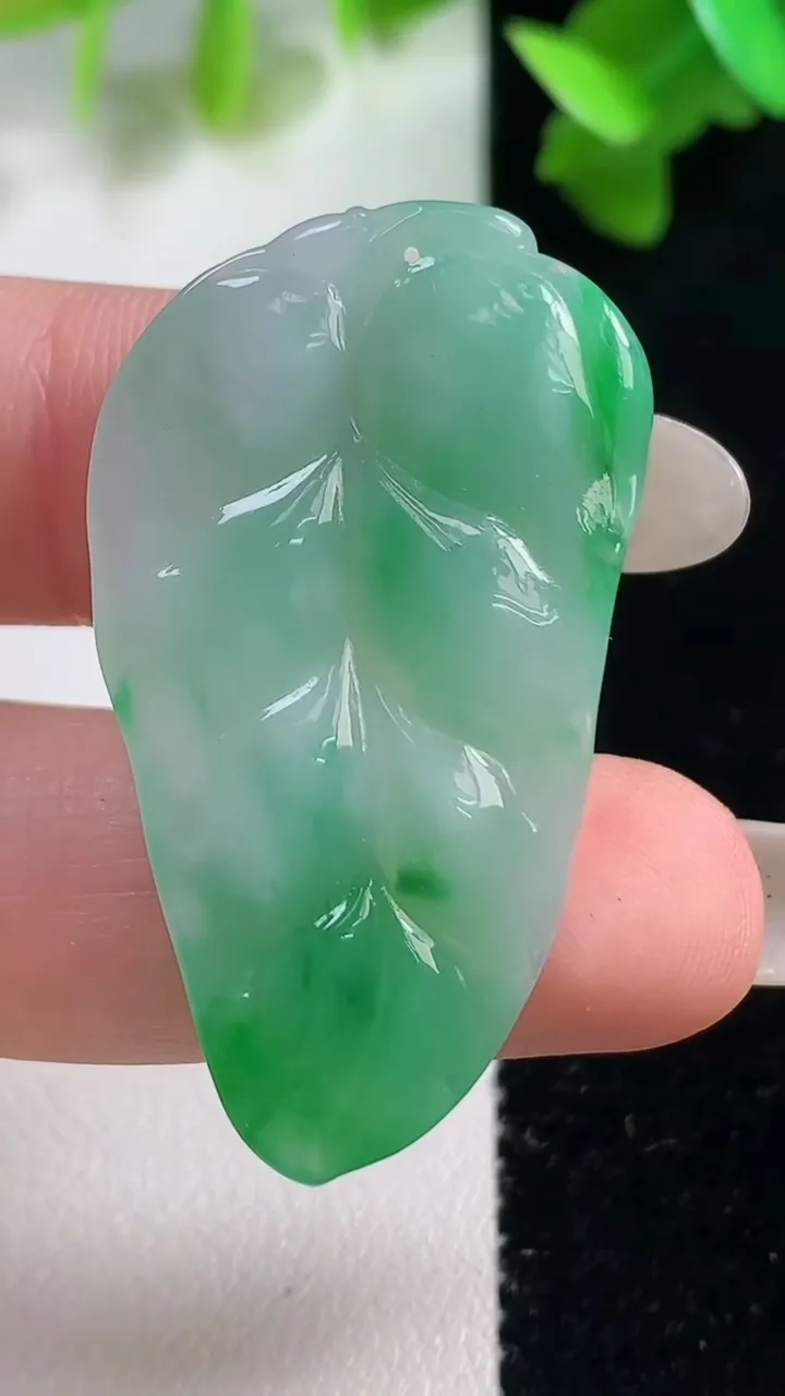 天然A货翡翠金枝玉叶 叶子吊坠，尺寸39.4-23.3-4.9，重量:7.72g
10月28日