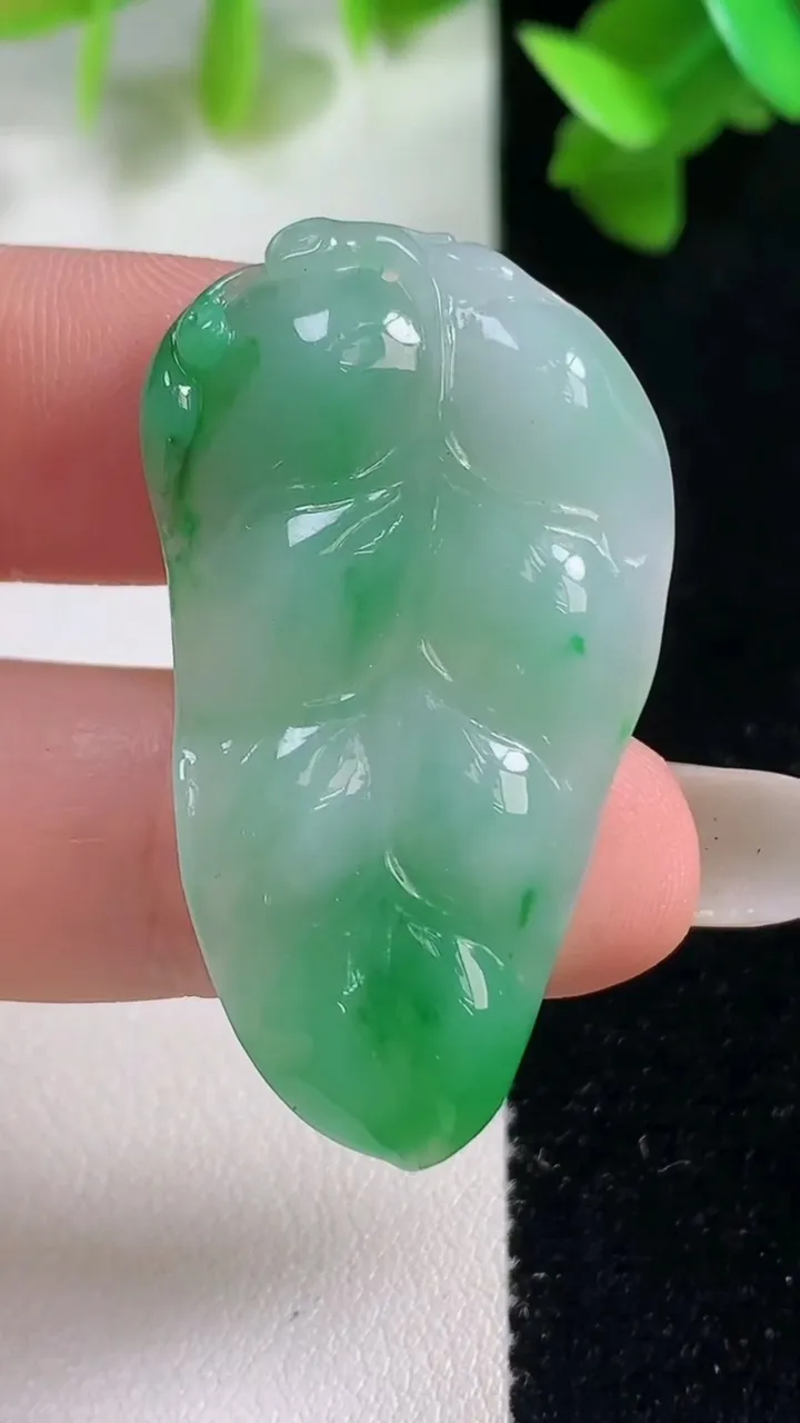 天然A货翡翠金枝玉叶 叶子吊坠，尺寸39.4-23.3-4.9，重量:7.72g
10月28日