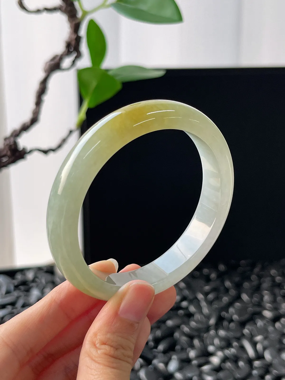 正圈55.2圈口，翡翠冰糯种黄翡手镯