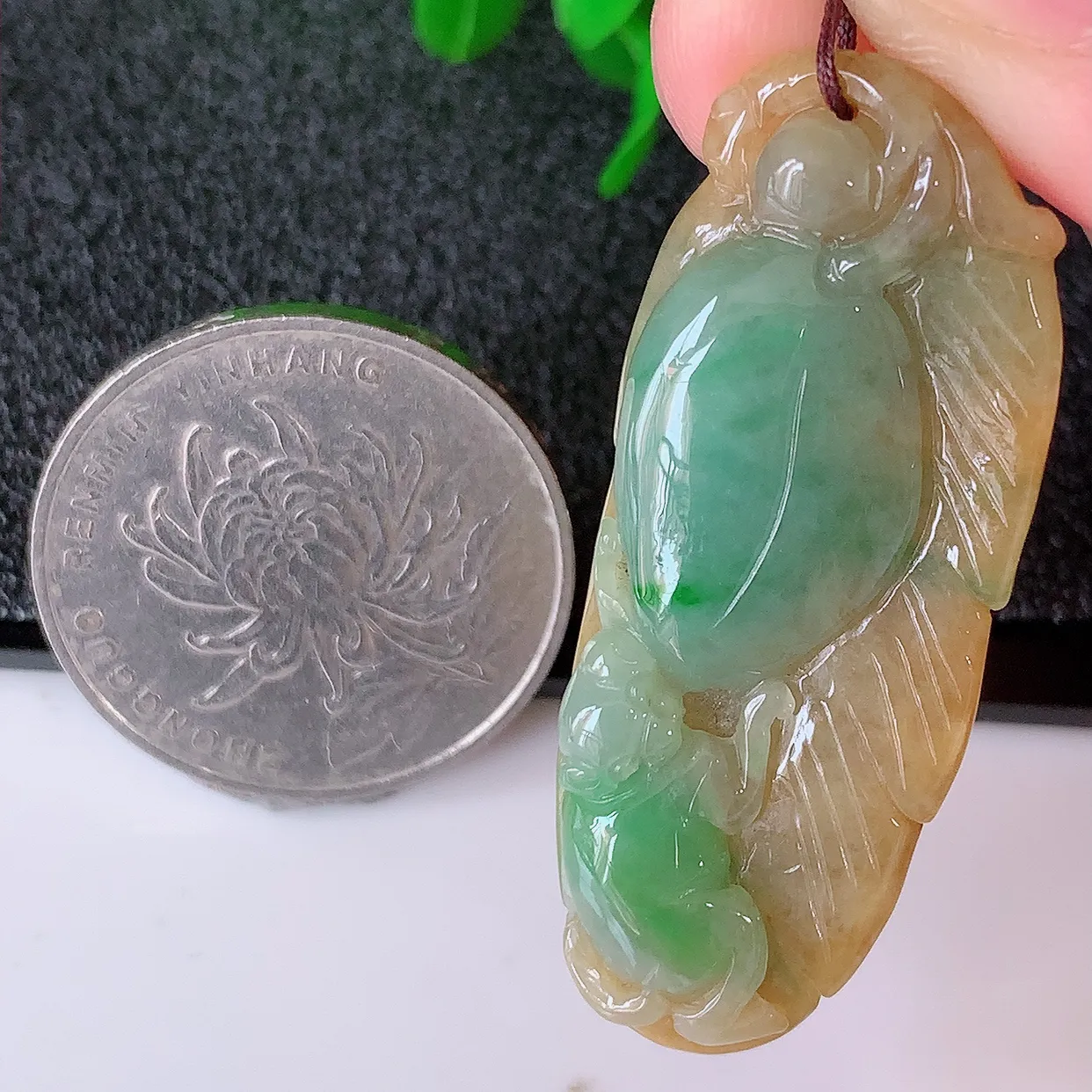 自然光实拍，冰润黄加绿翡翠生肖猴子吊坠，种老水足，雕工精湛 ，寓意美好，佩戴时尚出众！#05.10
