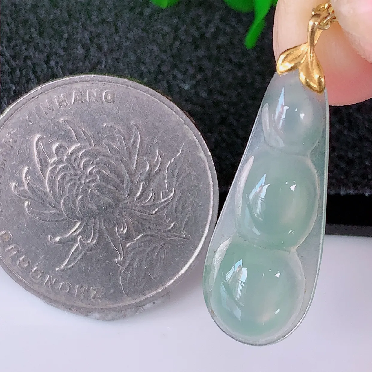 18K金镶嵌冰种飘花翡翠四季豆吊坠，平安豆福豆玉坠，冰润通透，豆粒饱满，寓意：豆蔻年华！#12.10