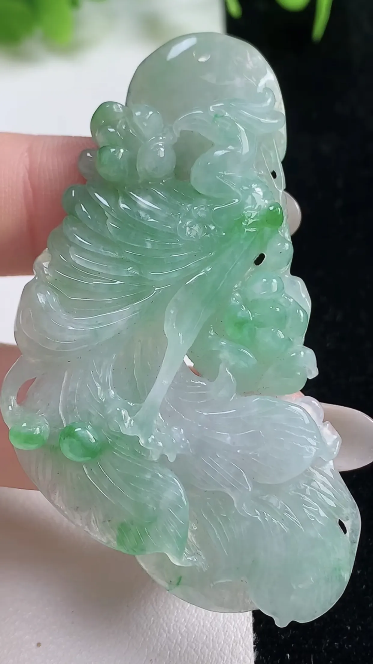 缅甸天然翡翠a货 老坑料起胶冰种 飘绿凤凰吊坠，尺寸59-33.2-5.4mm  y 17.60