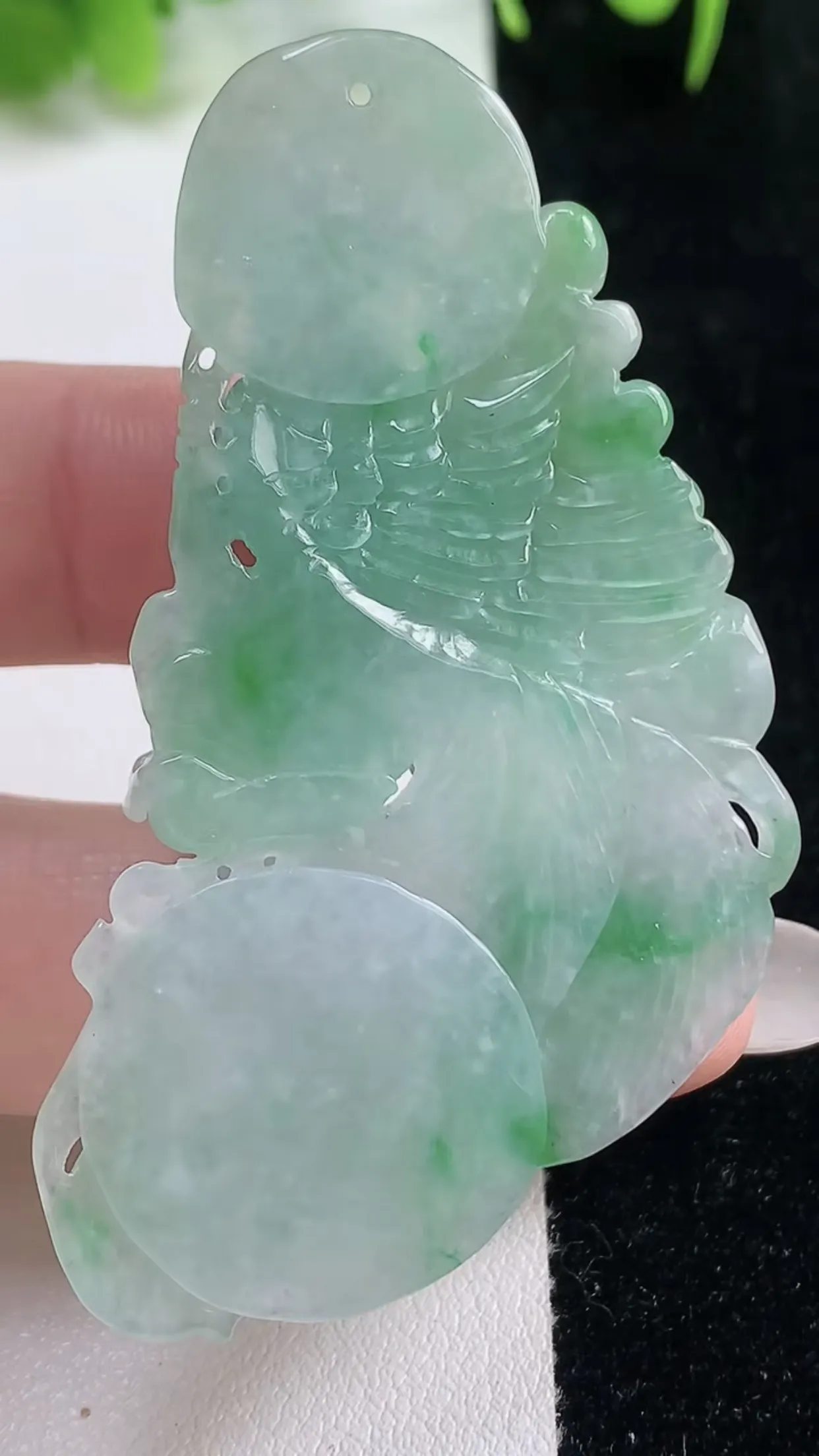 缅甸天然翡翠a货 老坑料起胶冰种 飘绿凤凰吊坠，尺寸59-33.2-5.4mm  y 17.60