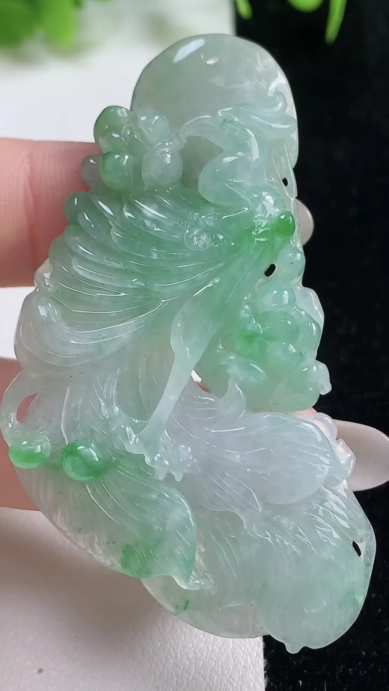 缅甸天然翡翠a货 老坑料起胶冰种 飘绿凤凰吊坠，尺寸59-33.2-5.4mm  y 17.60