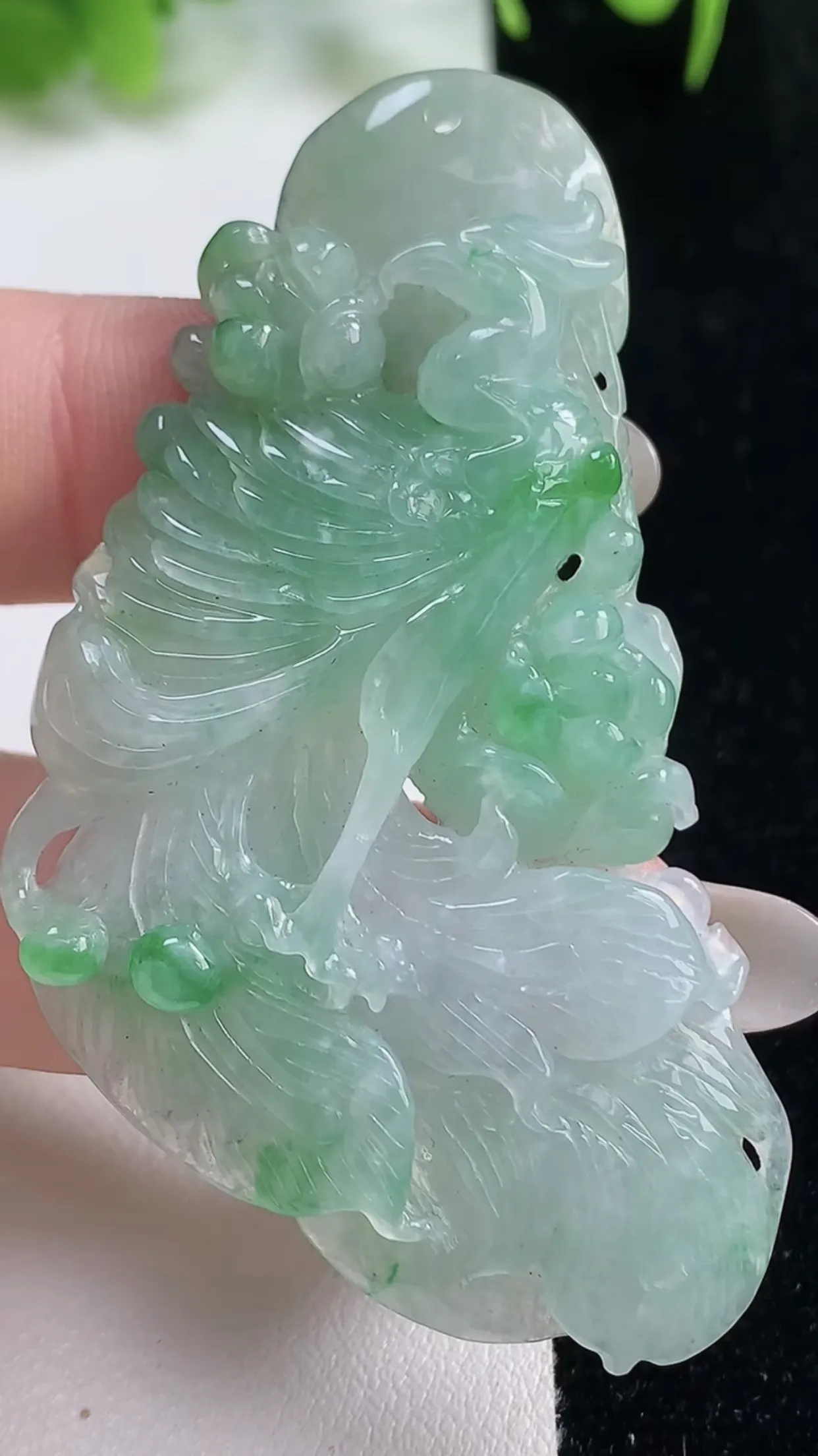 缅甸天然翡翠a货 老坑料起胶冰种 飘绿凤凰吊坠，尺寸59-33.2-5.4mm  y 17.60