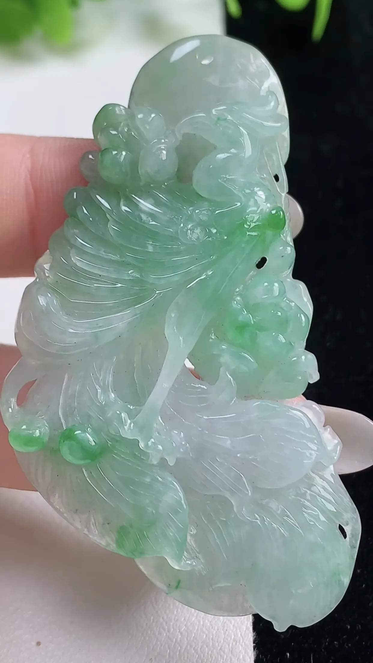 缅甸天然翡翠a货 老坑料起胶冰种 飘绿凤凰吊坠，尺寸59-33.2-5.4mm  y 17.60