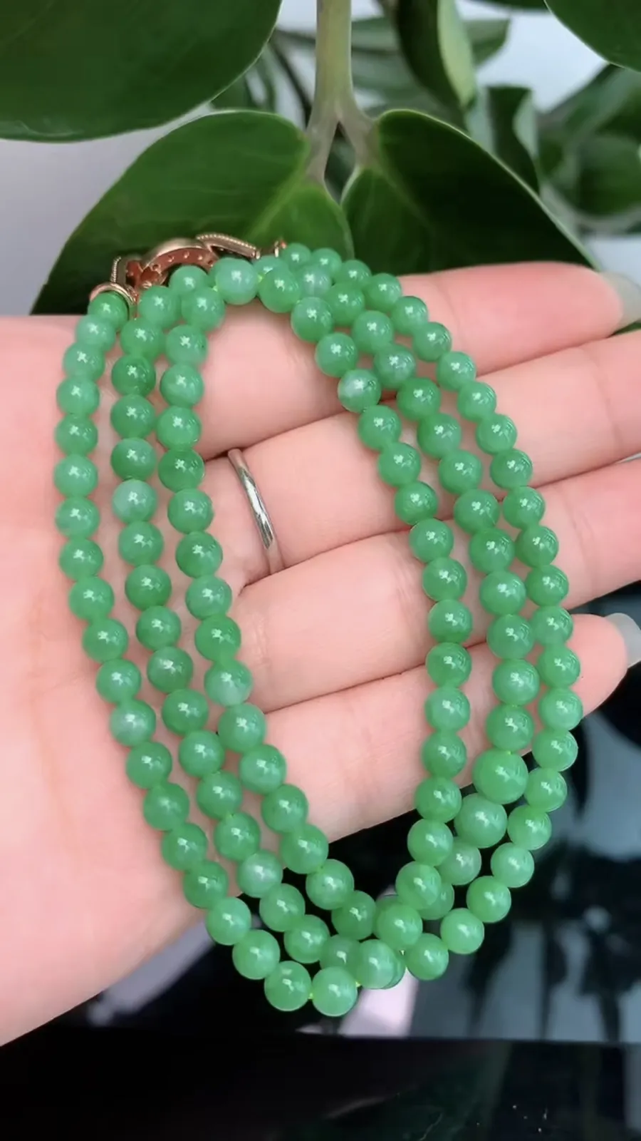 天然A货翡翠-冰糯种满绿胶感圆珠项链1008-281，尺寸取大5，重量24.00g